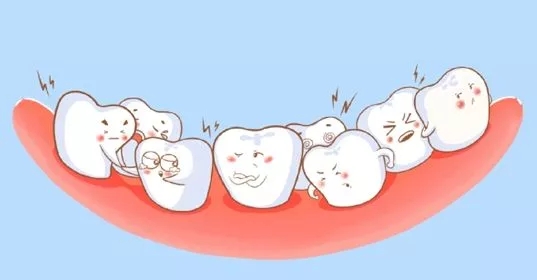 没有牙根能种牙吗