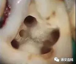牙科医院