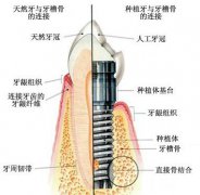 兰州口腔医院，兰州牙科