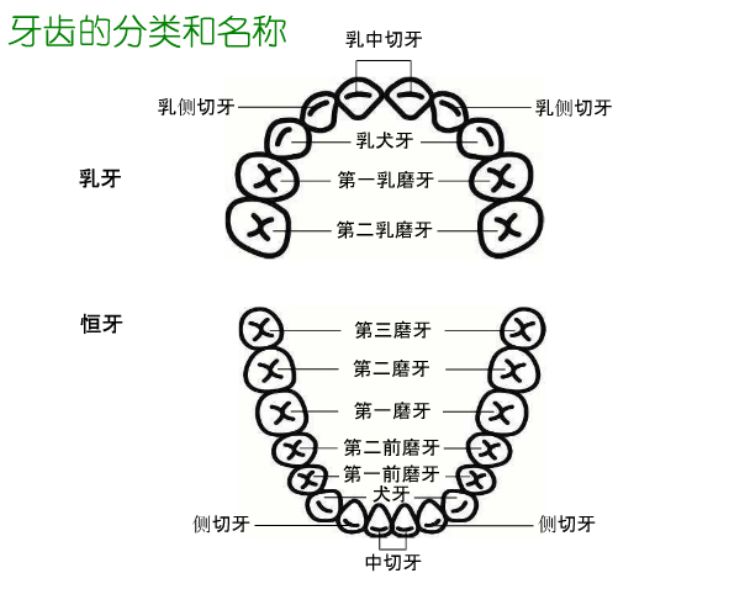 兰州口腔医院，兰州牙科