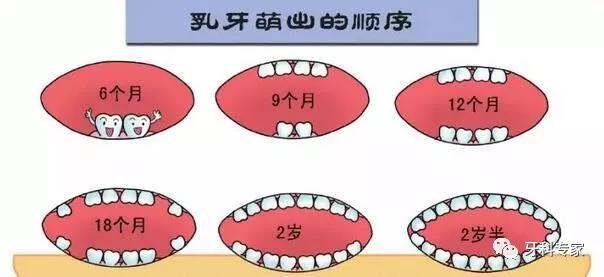 乳牙龋坏的危害