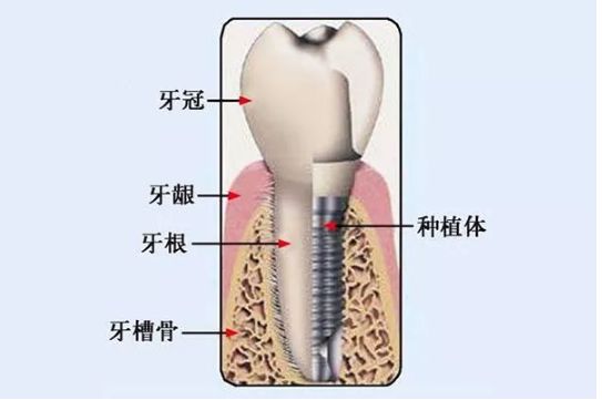 兰州口腔医院，兰州牙科
